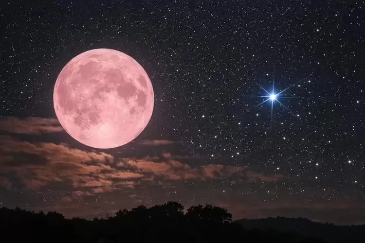 Purnama Pink Moon Menghiasi Langit 2 April Besok: Benarkah Bulan Berubah Warna Pink?