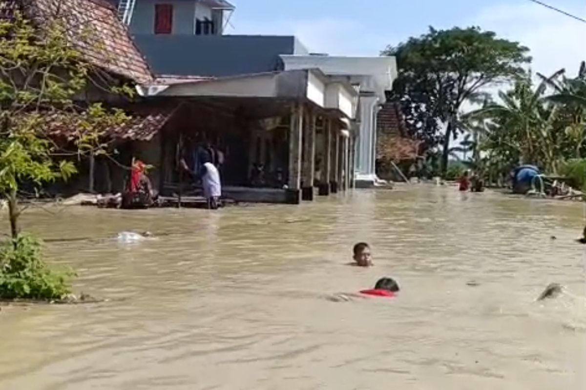 Banjir Demak Meluas Akibat Tanggul Jebol, Penanganan Total Dikerahkan di Seluruh Titik Terdampak