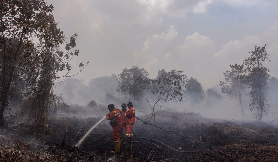Cegah Karhutla, Kemenhut Gelar Operasi Modifikasi Cuaca di Riau hingga 22 April 2026 - Metro Smart Solutions